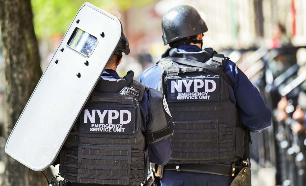 Pain and Suffering Damages Award against Police Department